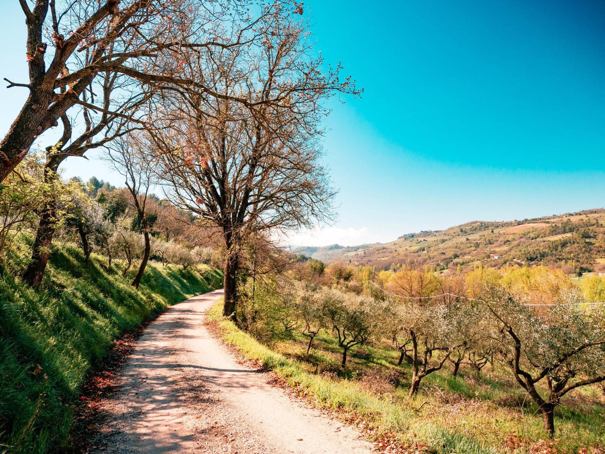 Ostello Bello Assisi Bevagna Εξωτερικό φωτογραφία